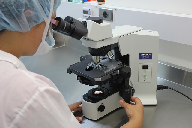 5 de agosto é Dia do Médico Patologista