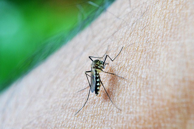 Informe da dengue registra 24 novos casos da doença no Paraná