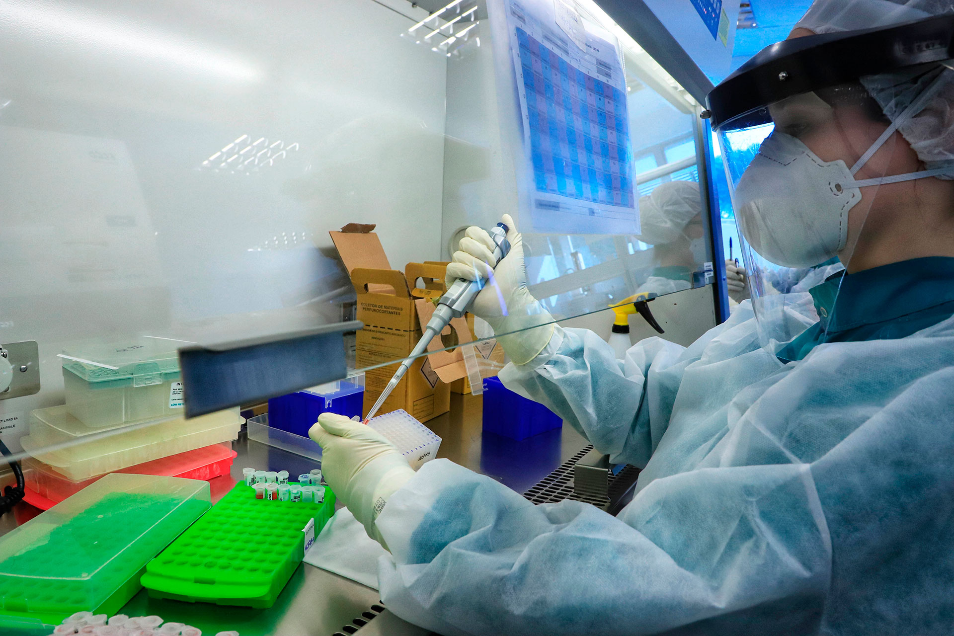 Predominância da Ômicron passa de 85% no Paraná, aponta Fiocruz