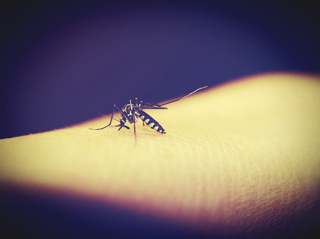Informe da dengue registra 951 casos da doença no Paraná