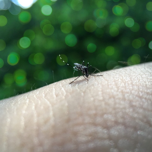 Mobilização: Paraná lança nova campanha de combate à dengue
