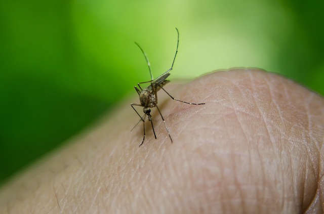 Boletim da Saúde registra mais 23,3 mil casos confirmados de dengue