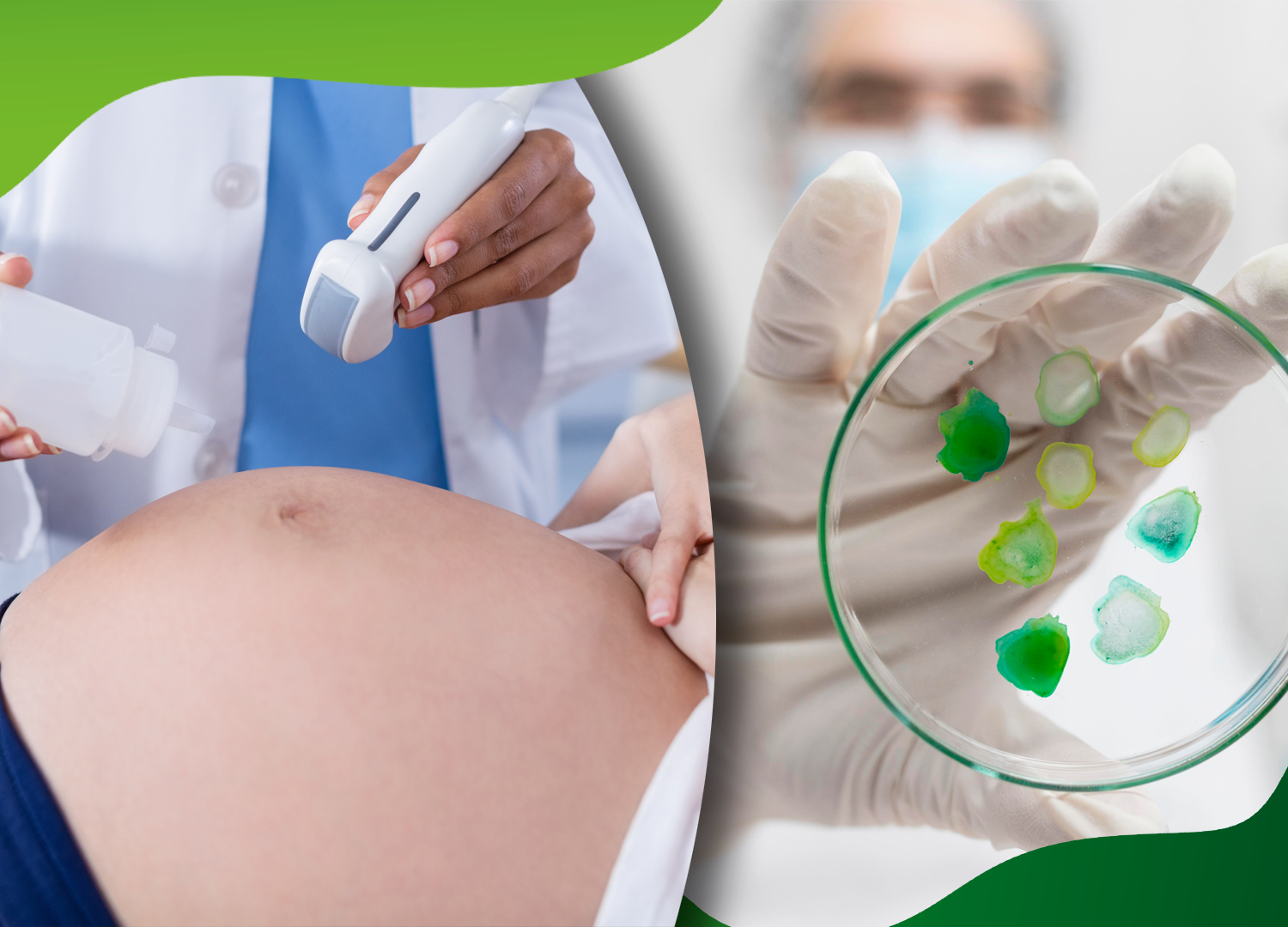 Semana marca data comemorativa de duas especialidades médicas