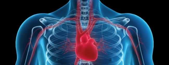 Prevenção de morte súbita será tema do 45º Congresso Paranaense de Cardiologia